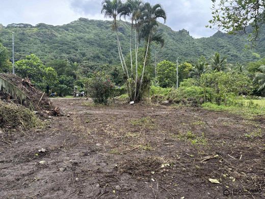 토지 / Afareaitu, Îles du Vent