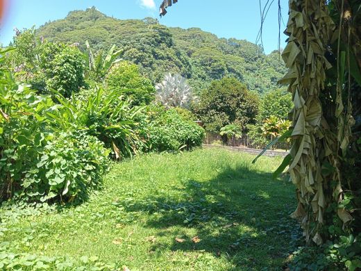 Участок, Afaahiti, District de Vairao