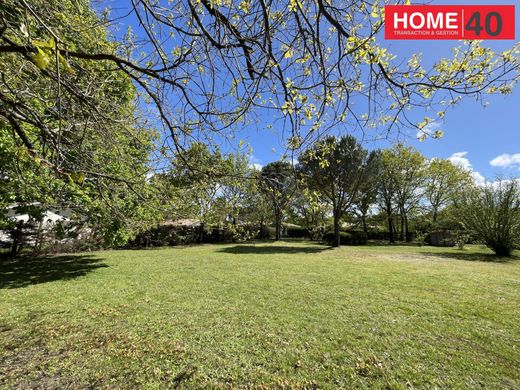 ‏בתי יוקרה ב  Sanguinet, Landes