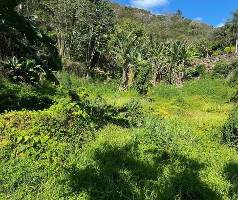 Grundstück in Pirae, Îles du Vent