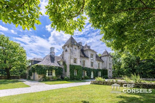 Castle in Bassignac, Cantal