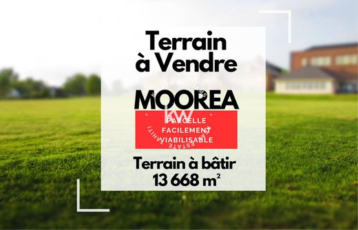 Land in Afareaitu, Îles du Vent