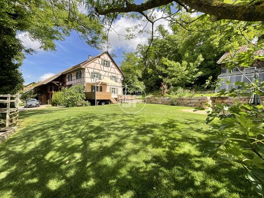 Casa di lusso a Zaessingue, Alto Reno