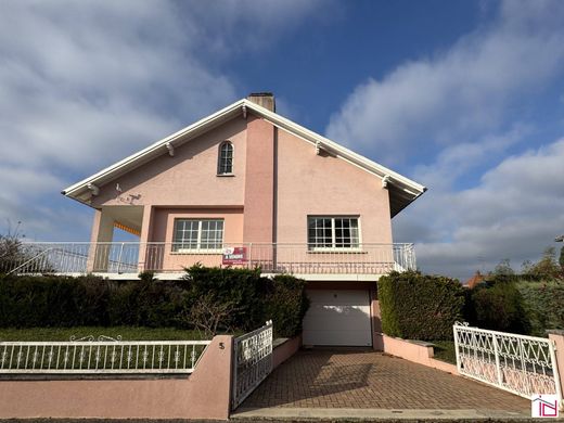 호화 저택 / Riedisheim, Haut-Rhin