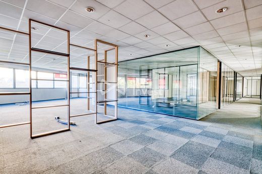 Office in Caluire-et-Cuire, Rhône