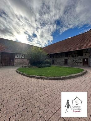 Lüks ev Friesenheim, Bas-Rhin