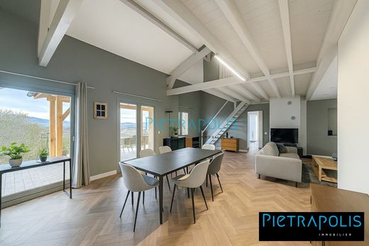 호화 저택 / Reyrieux, Ain