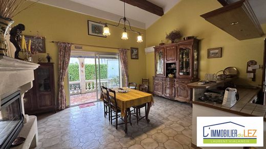 Luxus-Haus in Saint-Clément-de-Rivière, Hérault