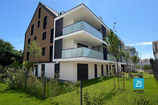 Apartment in Eckbolsheim, Bas-Rhin