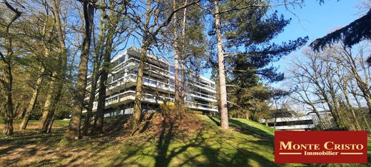 Apartment in Le Chesnay, Yvelines