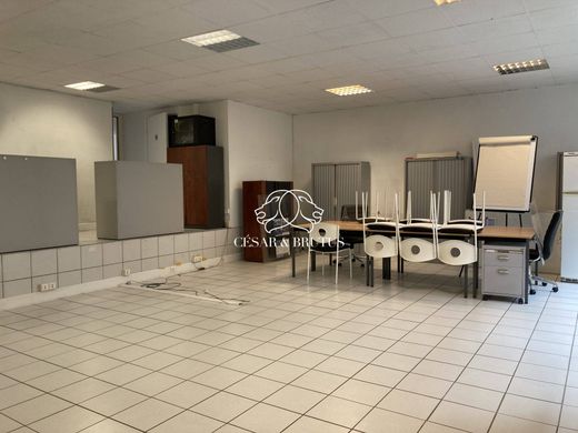 Ofis Lyon, Rhône