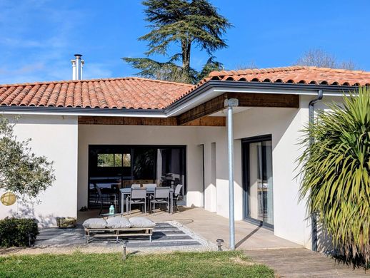 Luxus-Haus in Saint-Michel-de-Fronsac, Gironde