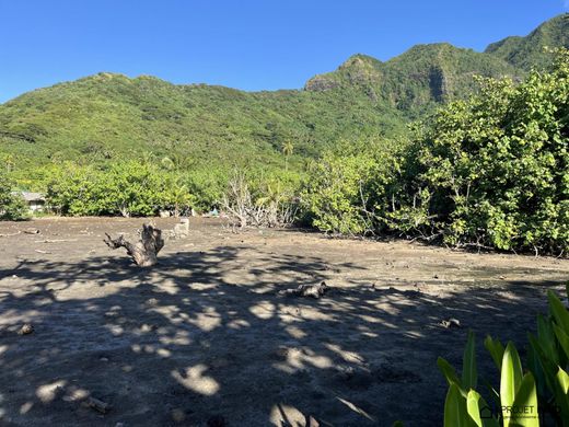 Terrain à Teavaro, Îles du Vent