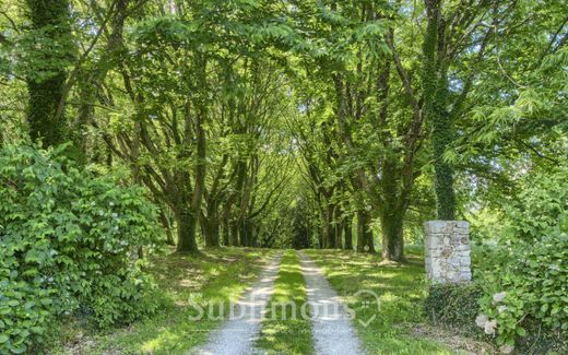 Questembert, Morbihanの城