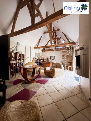 Luksusowy dom w Joué-lès-Tours, Indre-et-Loire