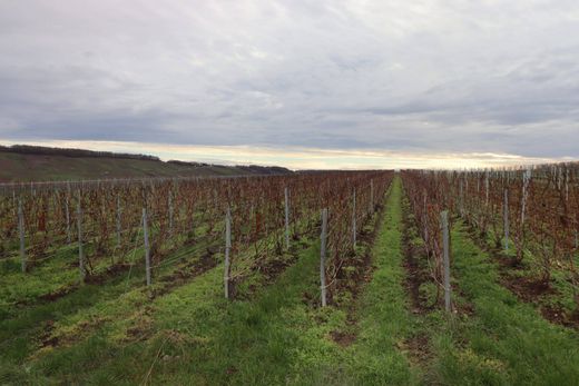 Αγροτεμάχιο σε Vandières, Marne