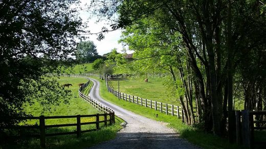 Luxe woning in Saint-Germain-de-la-Coudre, Orne
