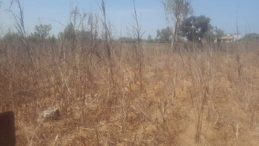 地皮  Ngaparou, Région de Thiès