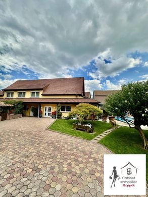 Luxury home in Rhinau, Bas-Rhin