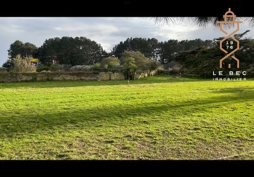 Terreno - Groix, Morbihan