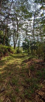 Teren w Mahina, Îles du Vent