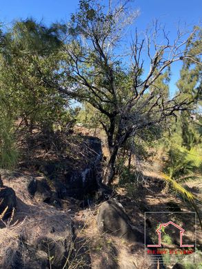 Saint-Pierre, Réunionの土地