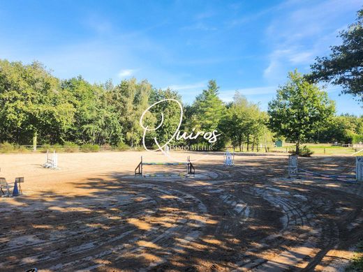 Luxury home in Lamotte-Beuvron, Loir-et-Cher