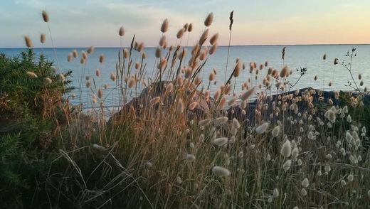 ‏בתי יוקרה ב  Fouesnant, Finistère