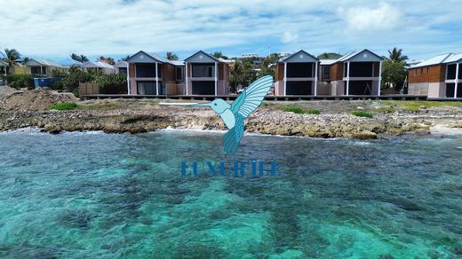 Saint Martinの高級住宅