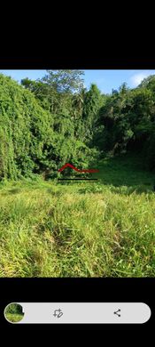 地皮  Le Robert, Martinique