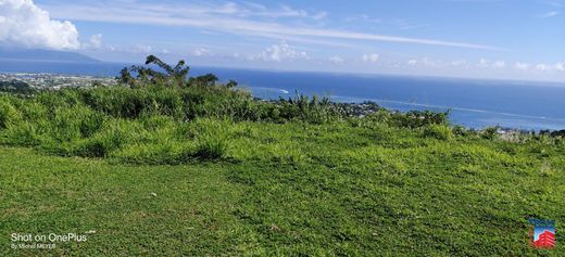 Land in Arue, Îles du Vent