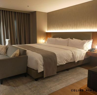 Apartment in La Muette, Auteuil, Porte Dauphine, Paris