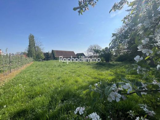 Πολυτελή κατοικία σε Truchtersheim, Bas-Rhin