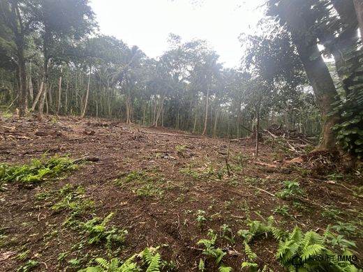 Land in Haapiti, Îles du Vent