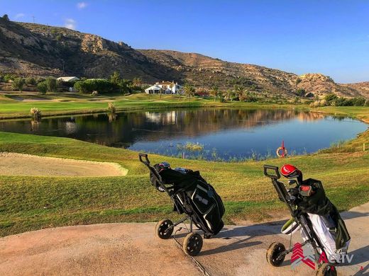 Luxury home in Alicante, Valencia