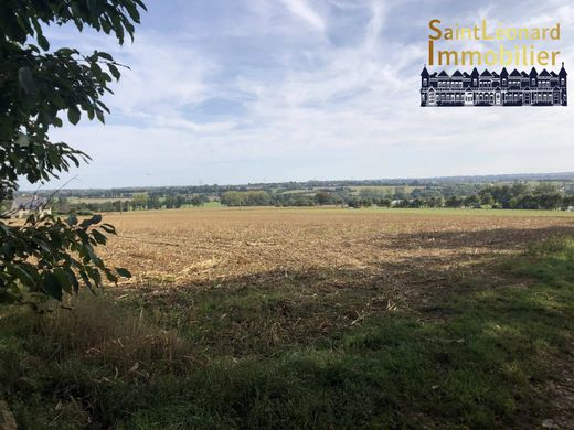 Land for sale in La Chapelle-Saint-Aubert