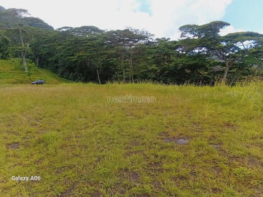 أرض ﻓﻲ Teavaro, Îles du Vent