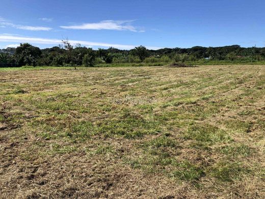 Grundstück in Taravao, District de Vairao