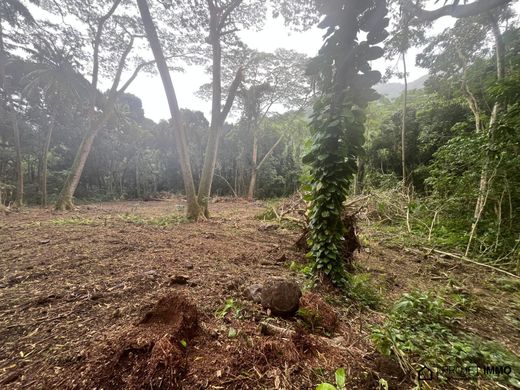 Land in Haapiti, Îles du Vent