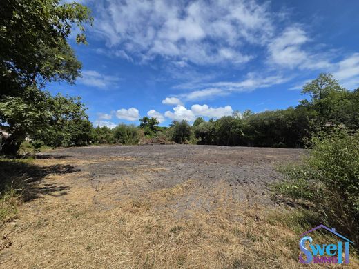 Land in Vielle-Saint-Girons, Landes