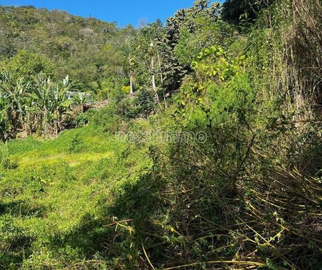 Terrain à Pirae, Îles du Vent