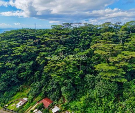 Land in Papenoo