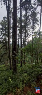 Terreno - Arue, Îles du Vent