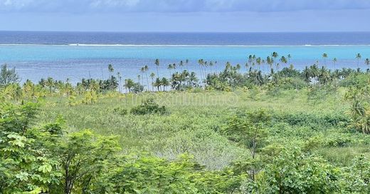 Land in Raiatea, Îles Sous-le-Vent