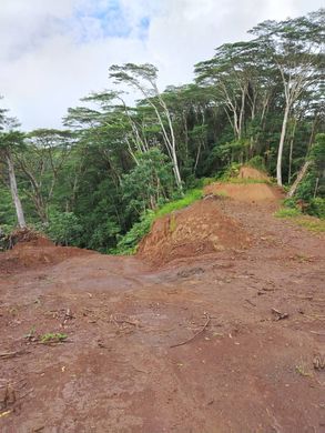 Участок, Papenoo