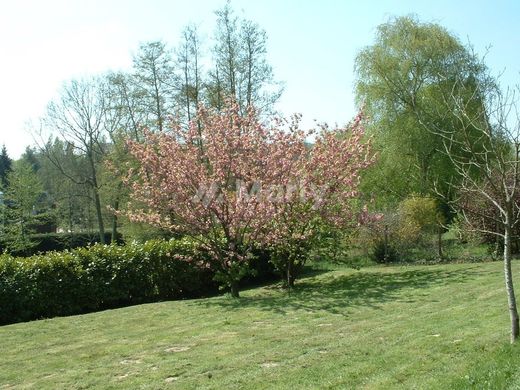 ‏קרקע ב  Gif-sur-Yvette, Essonne