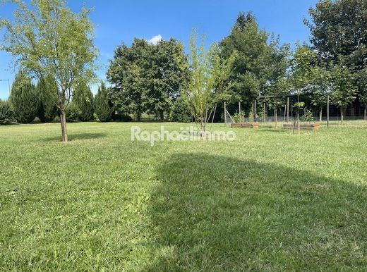 Terreno a Schnersheim, Basso Reno