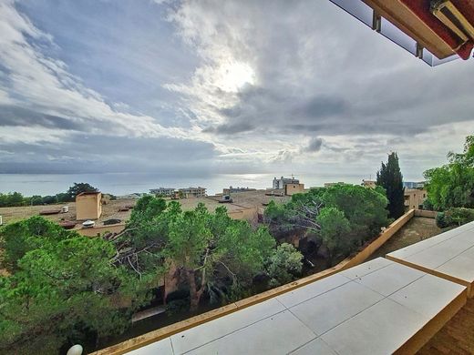 Apartment in Ajaccio, South Corsica