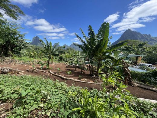 Terreno a Paopao, Îles du Vent