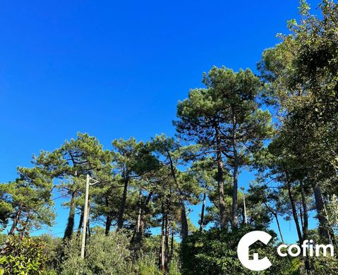 豪宅  Anglet, Pyrénées-Atlantiques